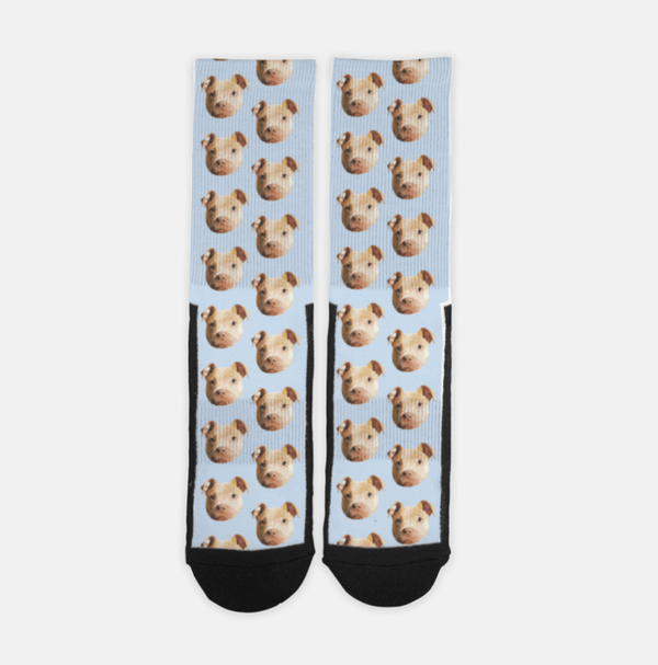 Custom Pet Socks - Pets to Prints
