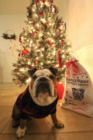 Custom Pet Portrait Santa Sack - Pets to Prints