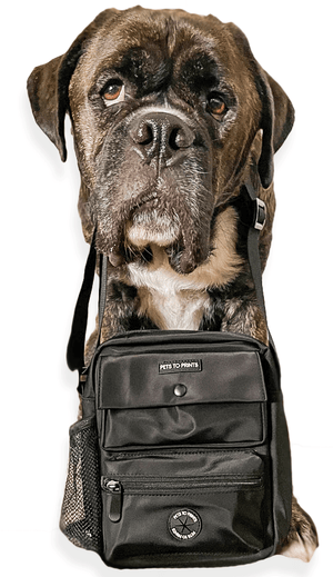 Dog Walking Bag w/Pet Portrait Patch - Pets to Prints