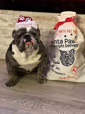 Custom Pet Portrait Santa Sack - Pets to Prints