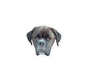 Custom Pet Portrait Sticker/Decal - Pets to Prints