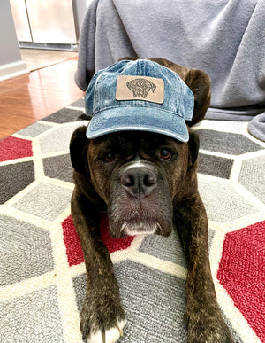 Custom Pet Portrait Denim Dad Hat - Pets to Prints