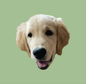 Custom Pet Digital Art File - Via Email | Pets to Prints.