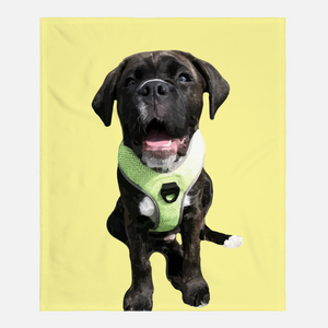 Custom Pet Fleece Blanket | Pets to Prints.