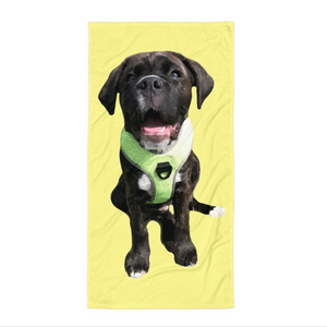 Custom Pet Beach Towel | Pets to Prints.