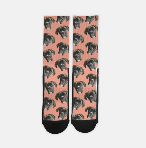 Custom Pet Socks | Pets to Prints.