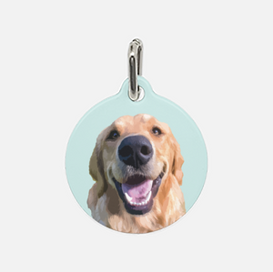 Custom Pet Tag | Pets to Prints.