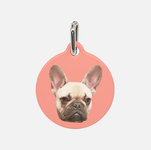 Custom Pet Tag | Pets to Prints.