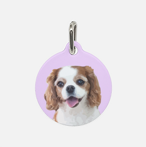 Custom Pet Tag | Pets to Prints.