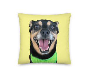 Custom Pet Pillow Cover w/Insert | Pets to Prints.