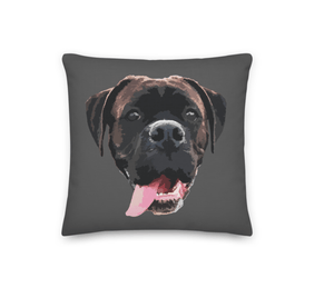 Custom Pet Pillow Cover w/Insert | Pets to Prints.