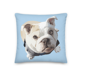 Custom Pet Pillow Cover w/Insert | Pets to Prints.
