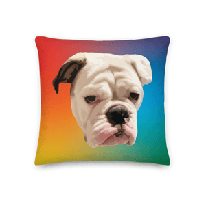 Custom Pet Pillow Cover w/Insert | Pets to Prints.