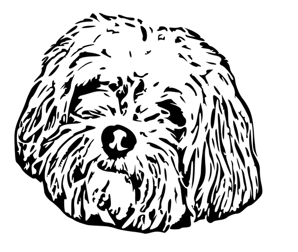 Custom Pet Digital Art File - Via Email - Pets to Prints