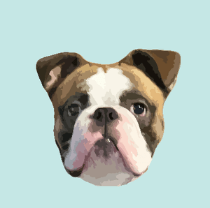 Custom Pet Digital Art File - Via Email - Pets to Prints
