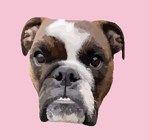 Custom Pet Digital Art File - Via Email - Pets to Prints