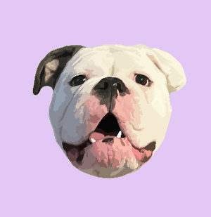 Custom Pet Digital Art File - Via Email - Pets to Prints