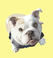 Custom Pet Digital Art File - Via Email - Pets to Prints