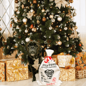 Custom Pet Portrait Santa Sack - Pets to Prints
